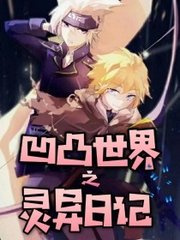 菠萝导航网页版